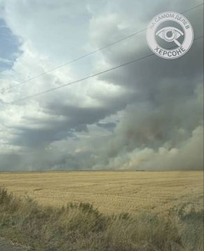 Поля с зерновыми культурами загорелись в Горностаевском округе после атак вражеских БпЛА