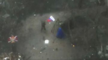 ���������� ������ ������� ����� �� �������� ��� � ���������� ������� �������� � ���