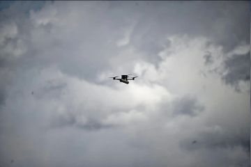 � ����� ������� � ���������� ����� ����������� ���� ���������� �����������