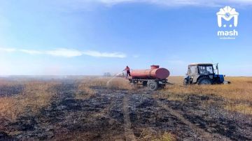 Животные и растения в заповеднике "Аскания-Нова" погибают из-за нехватки воды