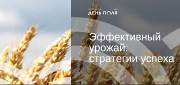 Минсельхоз меняет приоритеты: смена парадигмы в АПК