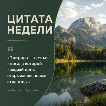Сделай маленькую паузу и почувствуй красоту мира вокруг