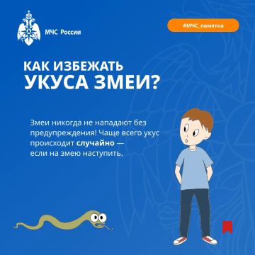 Встреча со змеёй: как обезопасить себя