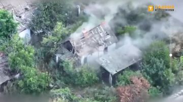 ��������� FPV-������ 49-� ����� "������" ���������� ������ ���������� ���� ��� �� ���������� �����������