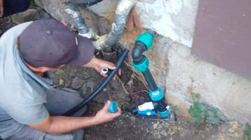 ����������� �� ������ ��������������� ���������� � ���������������� �����