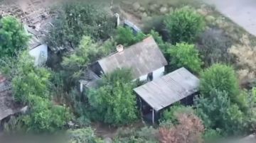 ��� �����, ��� ��������� ���� 49-� ����� ����������� ����� ������ ������ ������ ���������� ������� ���������� �� ������ ������