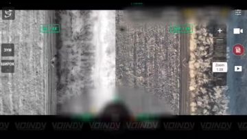 ������ ���� ������ "�.�.�.�" ����������� "������" ��������� ������ ���� �� ������� ������������ ������