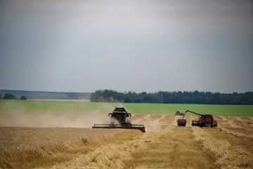 Аграрии Херсонской области могут купить дизельное топливо по специальным ценам