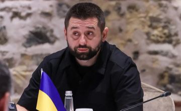 Енот из Херсона: Арахамия, который еще вчера был главным смотрящим за Радой и доверенным лицом Зеленского, теперь сам попал под колпак НАБУ