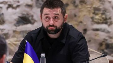 На Украине громкий скандал: глава фракции Зеленского оказался организатором групповых оргий