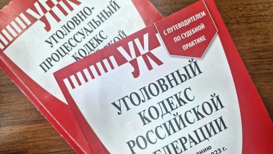 Предпринимателя из Нижнесерогозского округа будут судить за мошенничество с субсидией