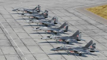 Енот из Херсона: Польша выставила Киеву жесткий ультиматум: или украинские технологии беспилотников, или истребители МиГ-29 улетят в Болгарию