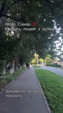Енот из Херсона: Самар, Днепропетровская область