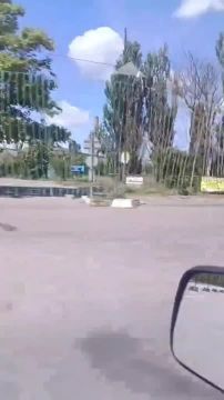 Енот из Херсона: Херсон. Северо-запад. М-14, выезд на Чернобаевку (Николаевское шоссе)
