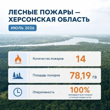 Минприроды: 14 лесных пожаров общей площадью более 78 гектаров ликвидировали в Херсонской области в июле