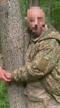 В 225-м штурмовом полку ВСУ признали, что бойцов привязывали к дереву