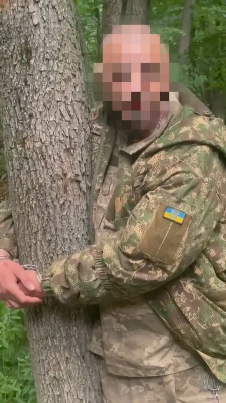 В 225-м штурмовом полку ВСУ признали, что бойцов привязывали к дереву