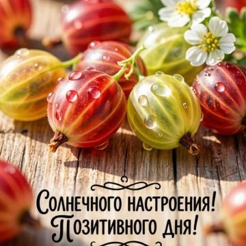 В воскресный день 2 августа Херсонскую область ожидает летний теплый день