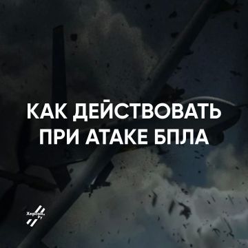 ��������� ����: ��� �������� ����