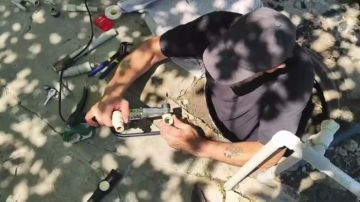 ������� �� ���������-�������� ������������ ������ ���� ���������� ���������