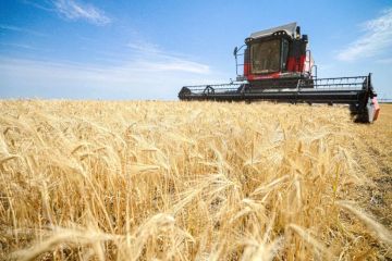 Владимир Сальдо: Херсонщина – житница России