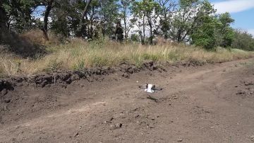 Владимир Сальдо: Бойцы группировки войск «Днепр» сорвали ротацию противника