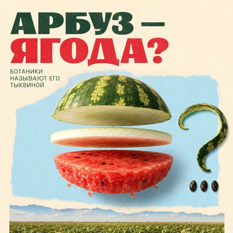 Сегодня весь мир отмечает День арбуза — и трудно представить этот праздник без Херсонской области Сегодня весь мир отмечает День арбуза — и трудно представить этот праздник без Херсонской области