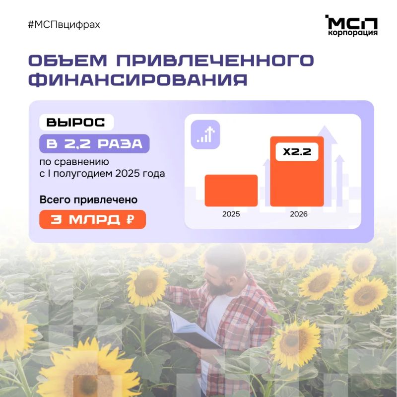 Господдержка МСП в новых регионах — в цифрах Господдержка МСП в новых регионах — в цифрах