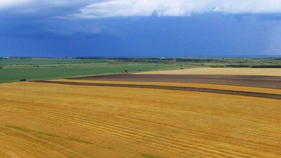 Сальдо: с господдержкой Херсонская область в 2026 году получит хороший урожай