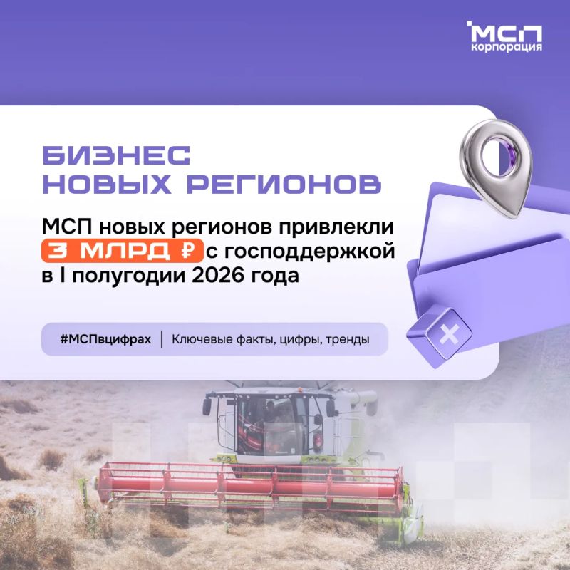 Господдержка МСП в новых регионах — в цифрах