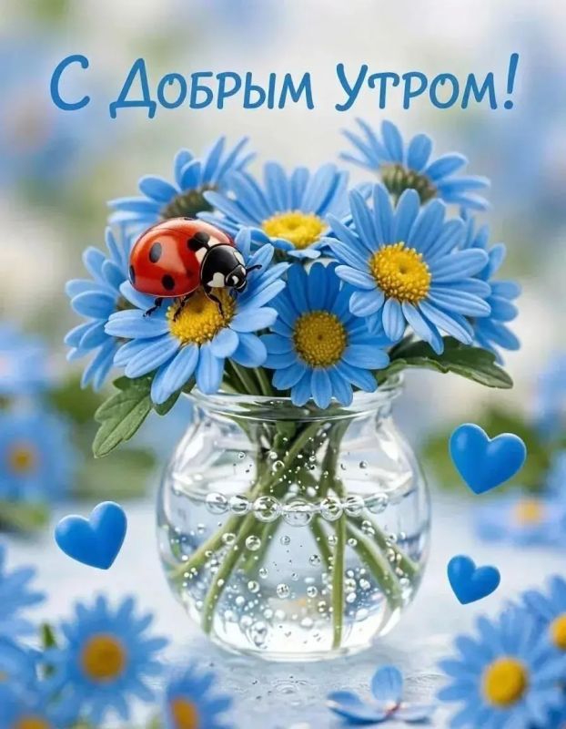 Доброе утро, Новокаховский округ!