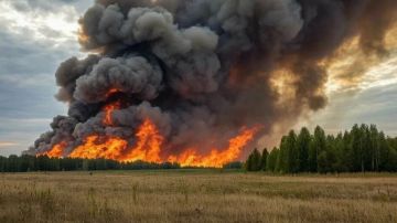 Почти 500 пожаров произошло в Херсонской области с начала года