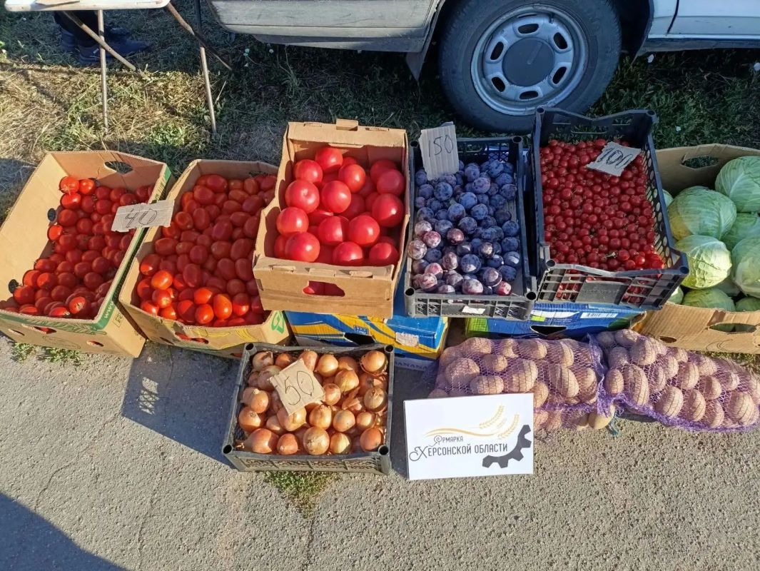 В июле в Херсонской области провели 283 ярмарки В июле в Херсонской области провели 283 ярмарки