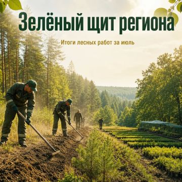 Зелёный щит региона: итоги лесных работ за июль