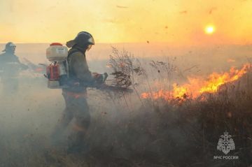 Более 250 пожаров произошло в Херсонской области за два месяца лета, сообщили "Таврии" в МЧС