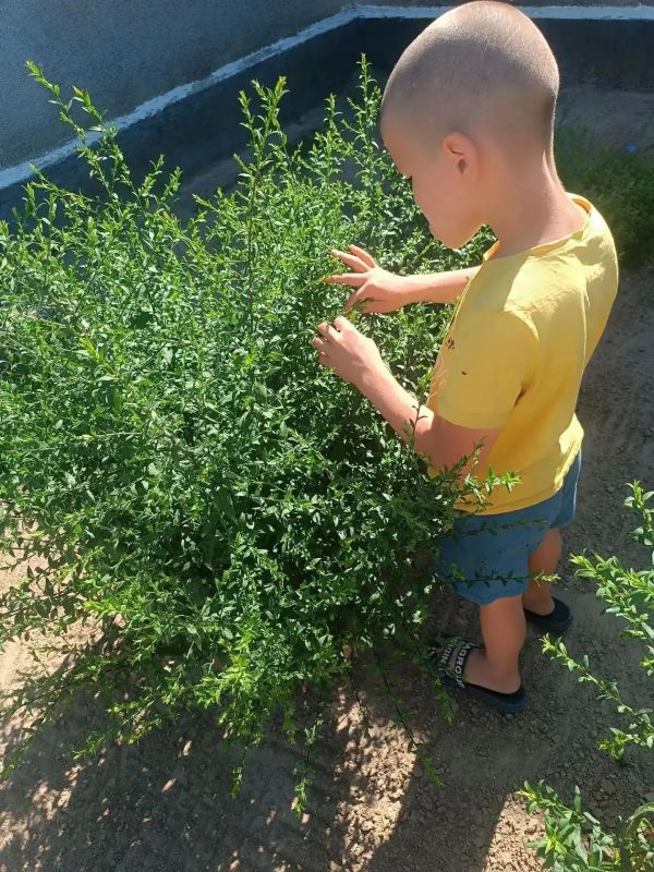 В Скадовском округе прошёл урок «Природные диковинки» В Скадовском округе прошёл урок «Природные диковинки»