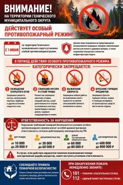 ВНИМАНИЕ! На территории Генического муниципального округа действует особый противопожарный режим!