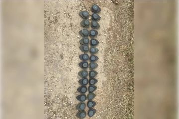 ����� ��������: ��� ����� ���� ��������� ����������� � ���������� �������