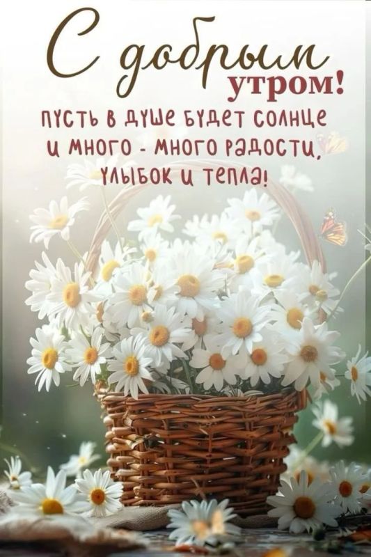 Доброе утро, уважаемые жители округа!