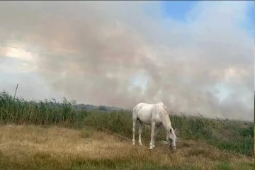 ���� ��� �� �������, ����� ���������� � �������: ���������� ����������� ������ ������� ����� ����������� ��������