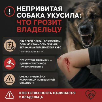 ���������� ������ �������: ��� ������ ���������