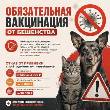 Ежегодная вакцинация от бешенства — обязанность