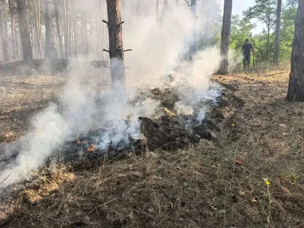 В Голопристанском лесхозе ликвидировали три пожара после атак ВСУ В Голопристанском лесхозе ликвидировали три пожара после атак ВСУ