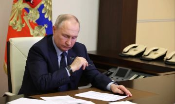 Президент подписал закон: сапёры МЧС получат статус ветеранов боевых действий