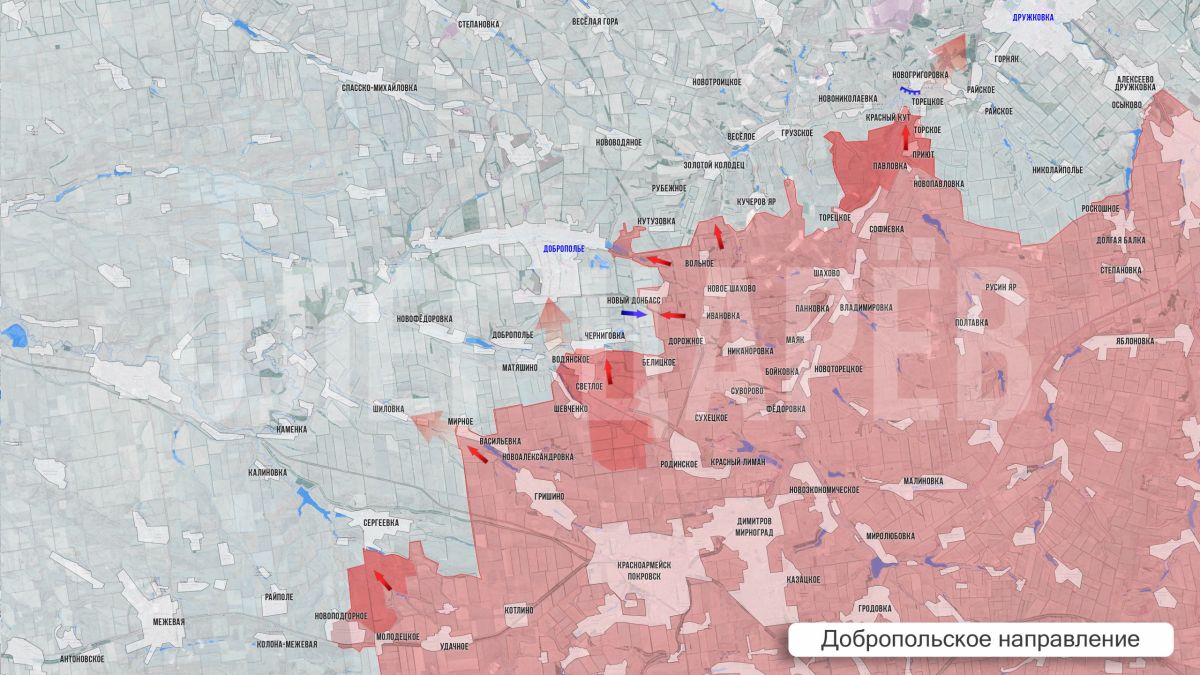 Олег Царёв: Фронтовая сводка. Фронтовая сводка 6 августа Олег Царёв: Фронтовая сводка. Фронтовая сводка 6 августа