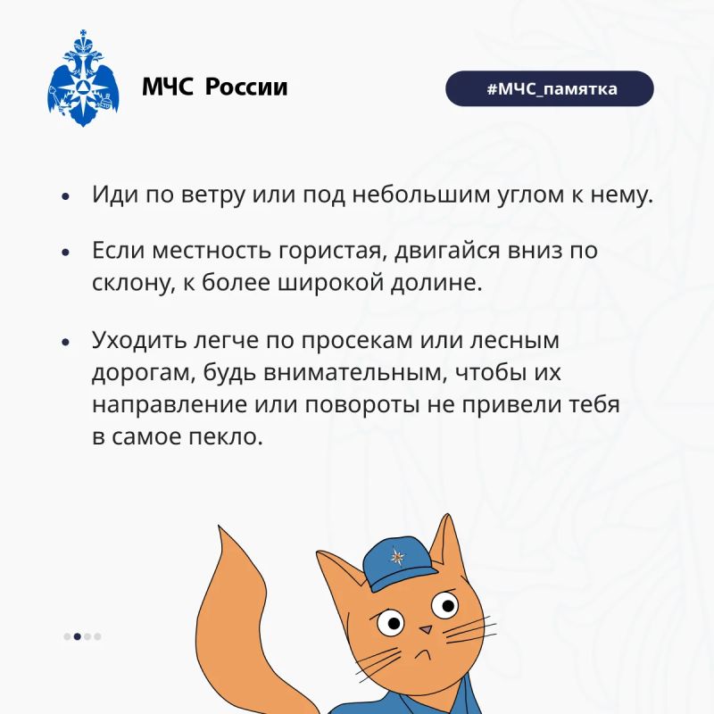 Если вы попали в лесной пожар: как действовать, чтобы спастись Если вы попали в лесной пожар: как действовать, чтобы спастись