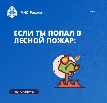 ���� �� ������ � ������ �����: ��� �����������, ����� ��������