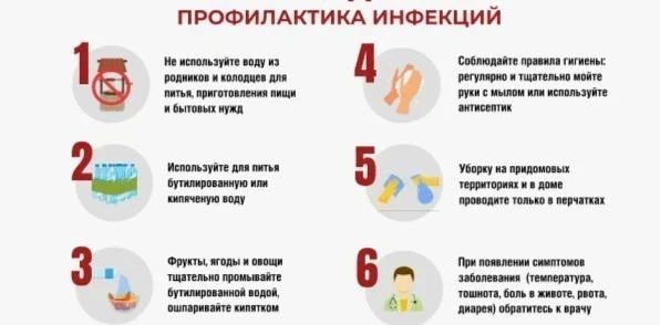 О профилактике кишечных инфекций!