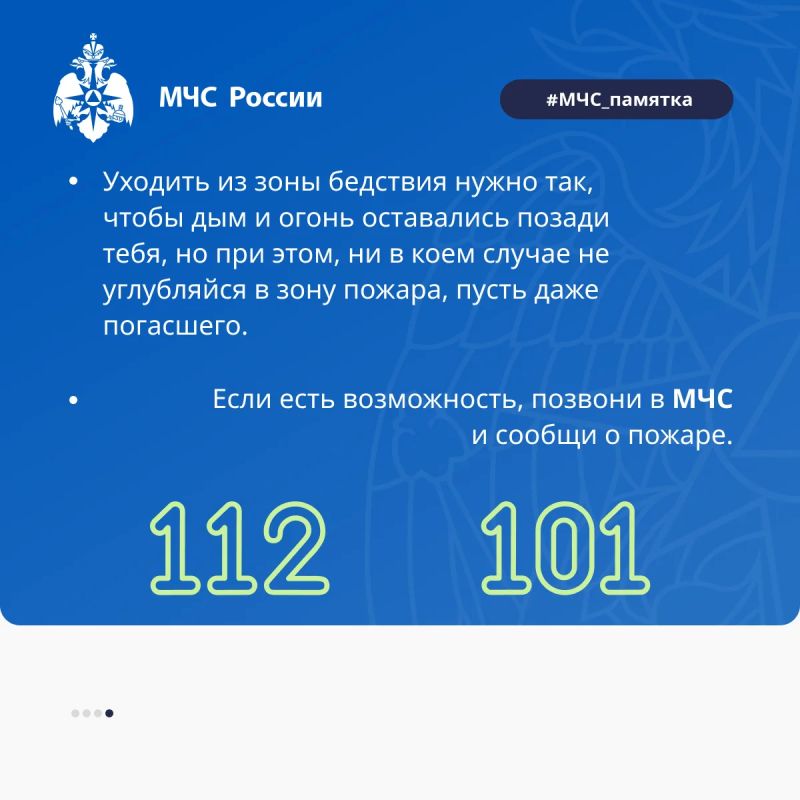 Если вы попали в лесной пожар: как действовать, чтобы спастись Если вы попали в лесной пожар: как действовать, чтобы спастись