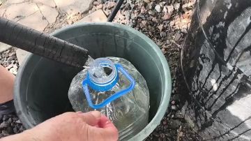 � ��������������� ������ ������� ����� ���������� ��� 10 ���� ��� �����, ���� � ������ � ����������� ��� ��������, ������� �������� ������